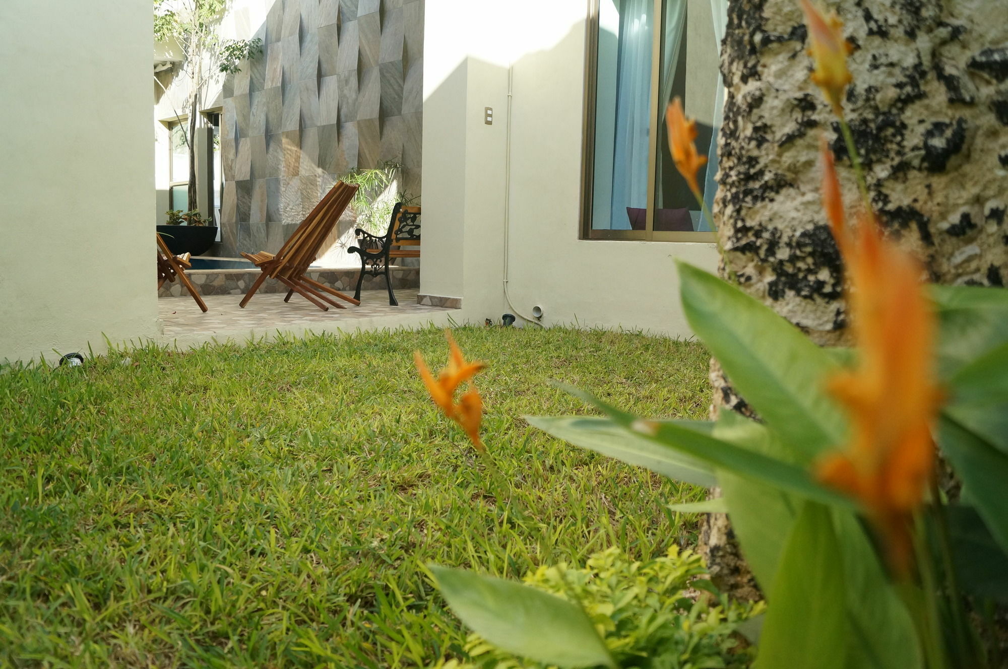 Hotel Casa Palomino Mérida Exterior foto